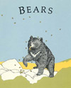 Bears - illustrated by Anne Marshall Runyon