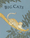 Big Cats - illustrated by Anne Marshall Runyon