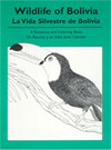 Wildlife of Bolivia - illustrations by Anne Marshall Runyon